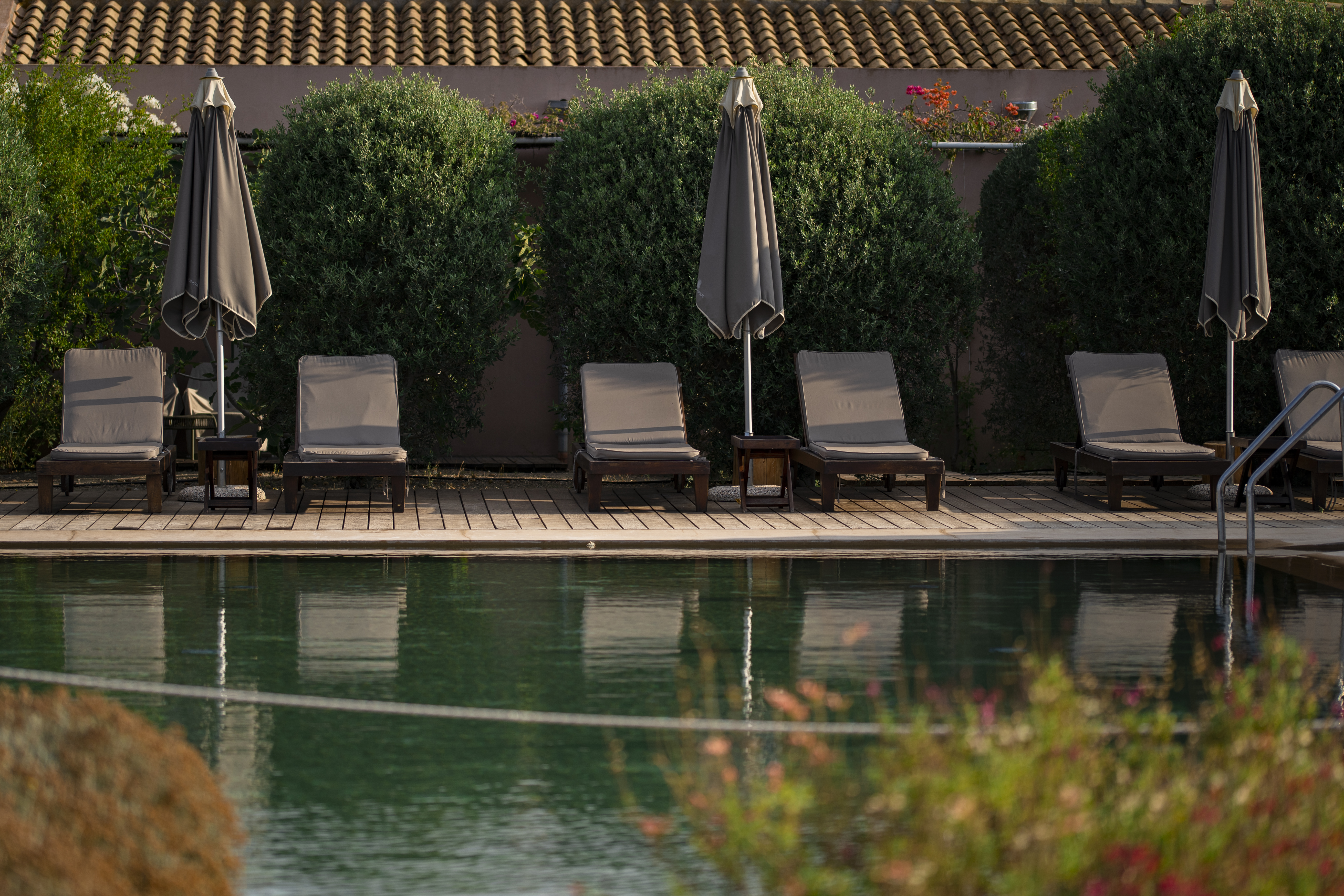 la foresteria pool