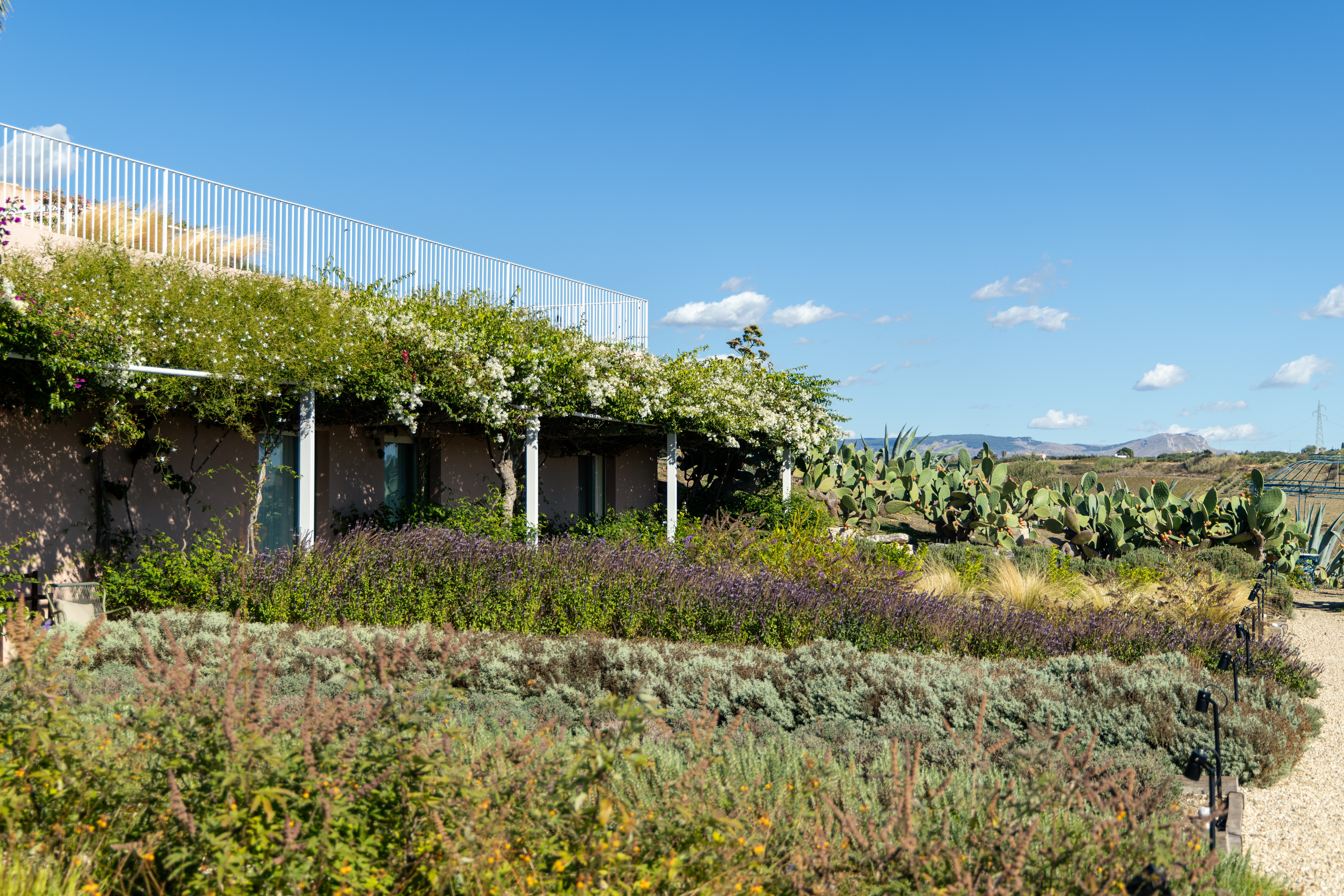 planeta giardino 9 1