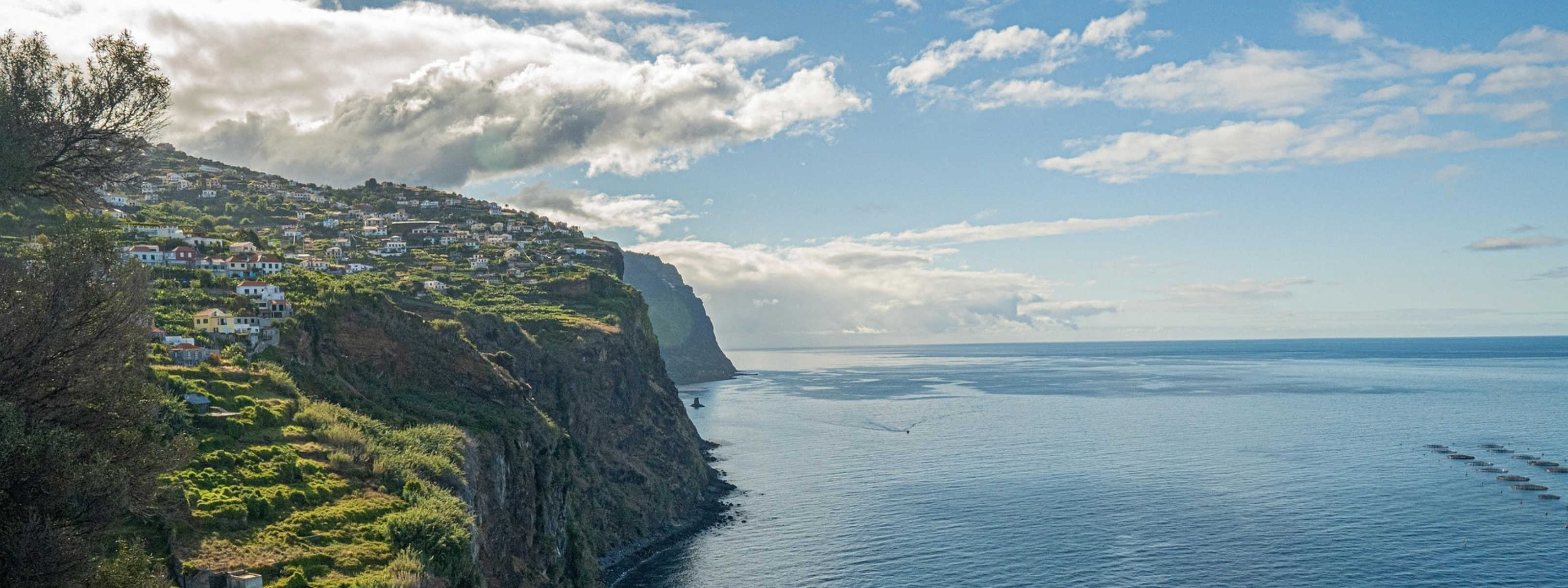 madeira