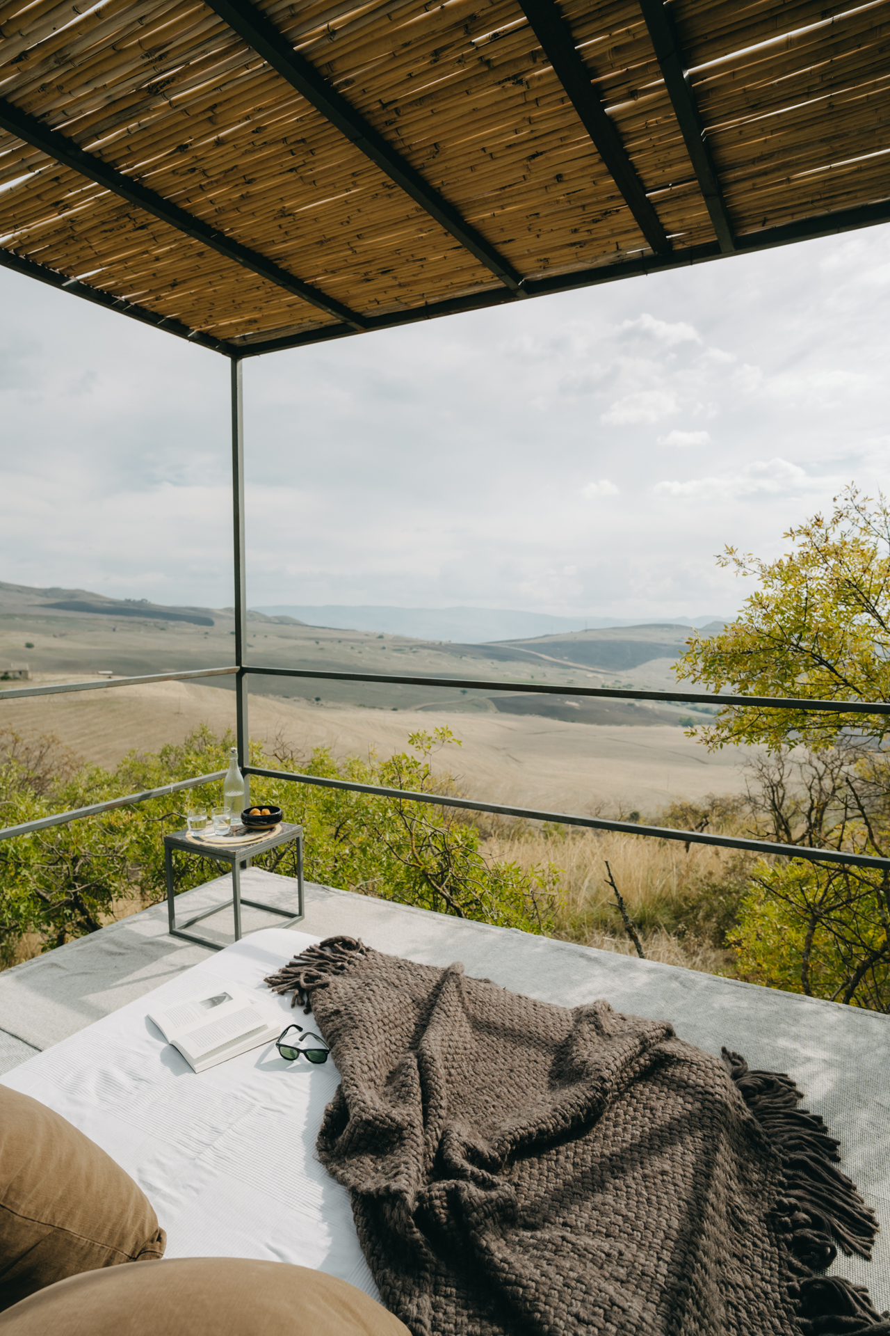 picnic 6