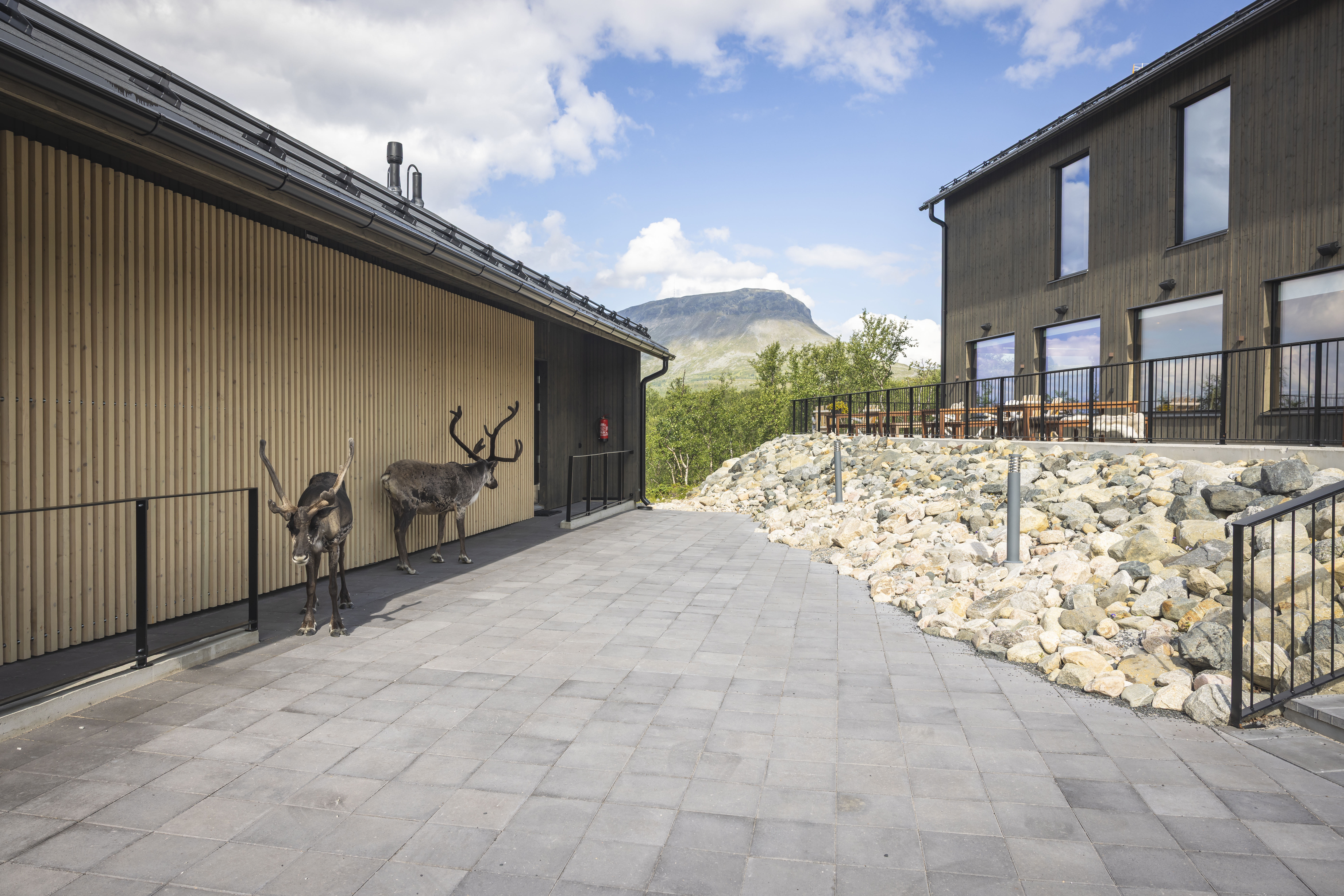 kopio tiedostosta cahkal hotel summer exterior reindeer 2