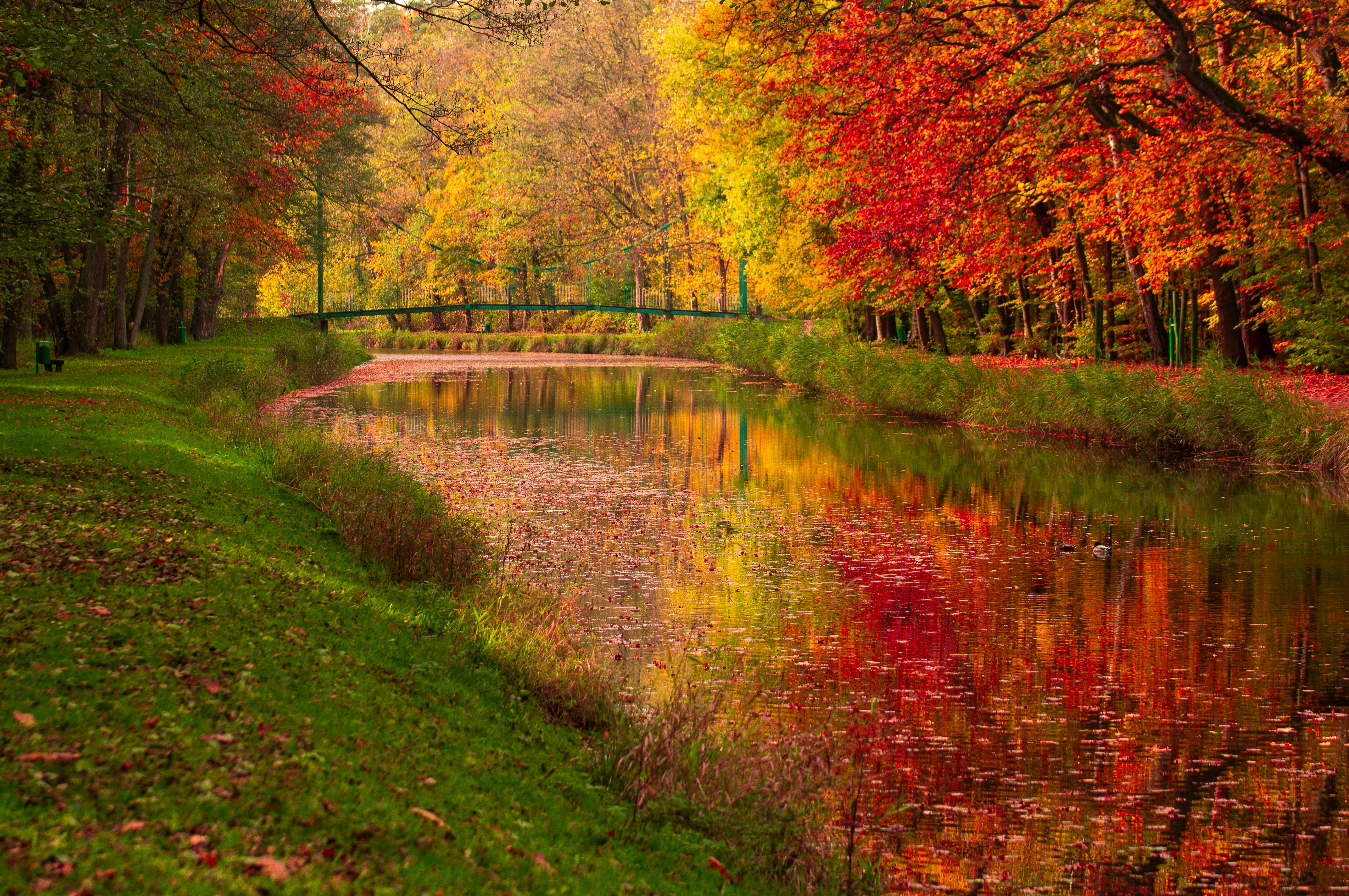 andrzej pokrzywiec i1gmjozst4s unsplash