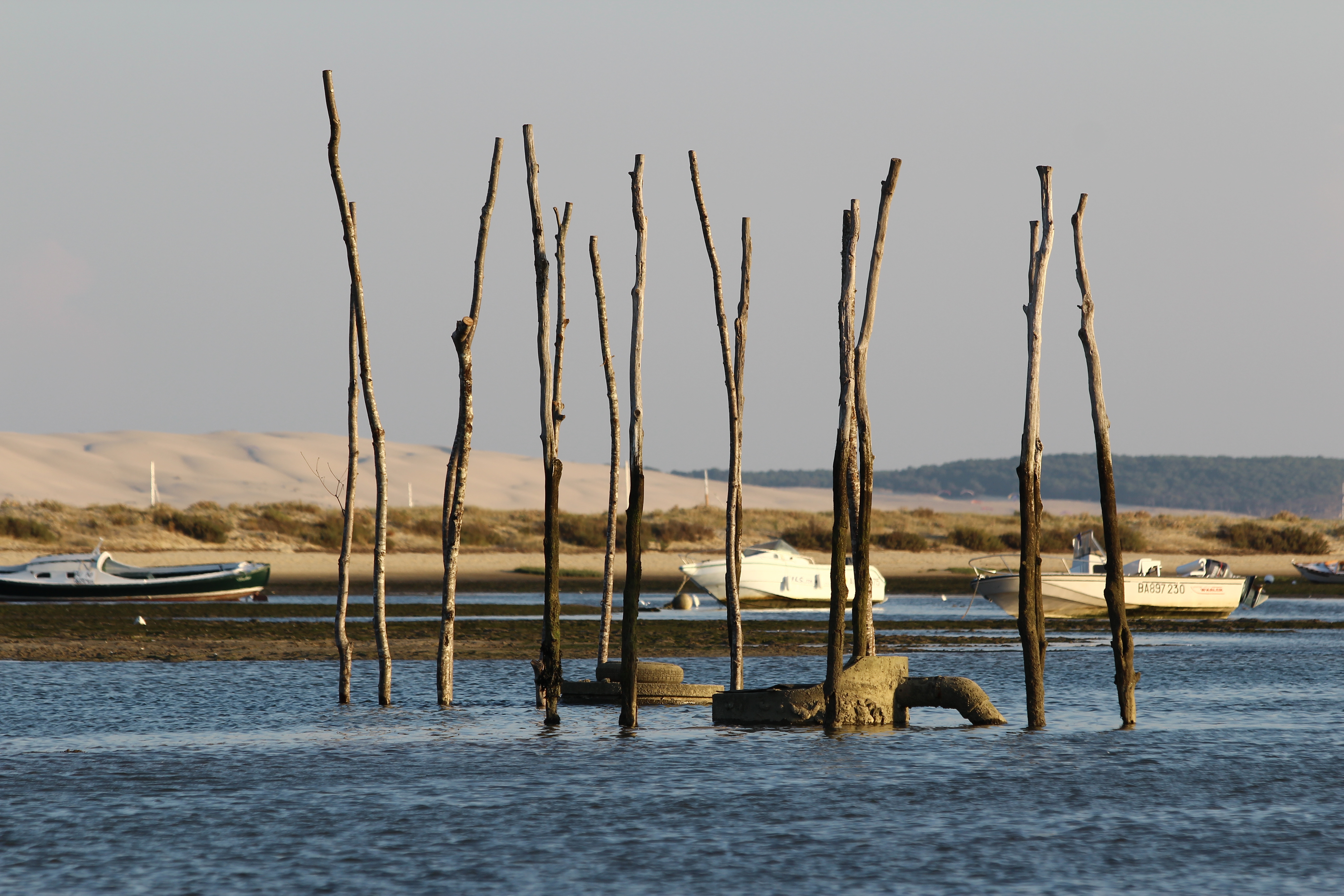 Where can I travel to and when? 