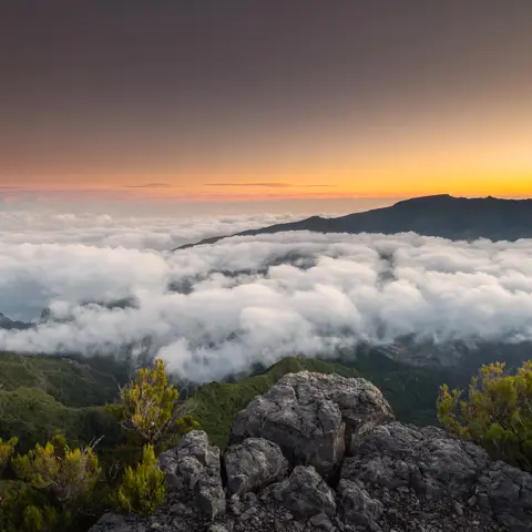 Waarom het najaar de mooiste periode is om Madeira te ontdekken