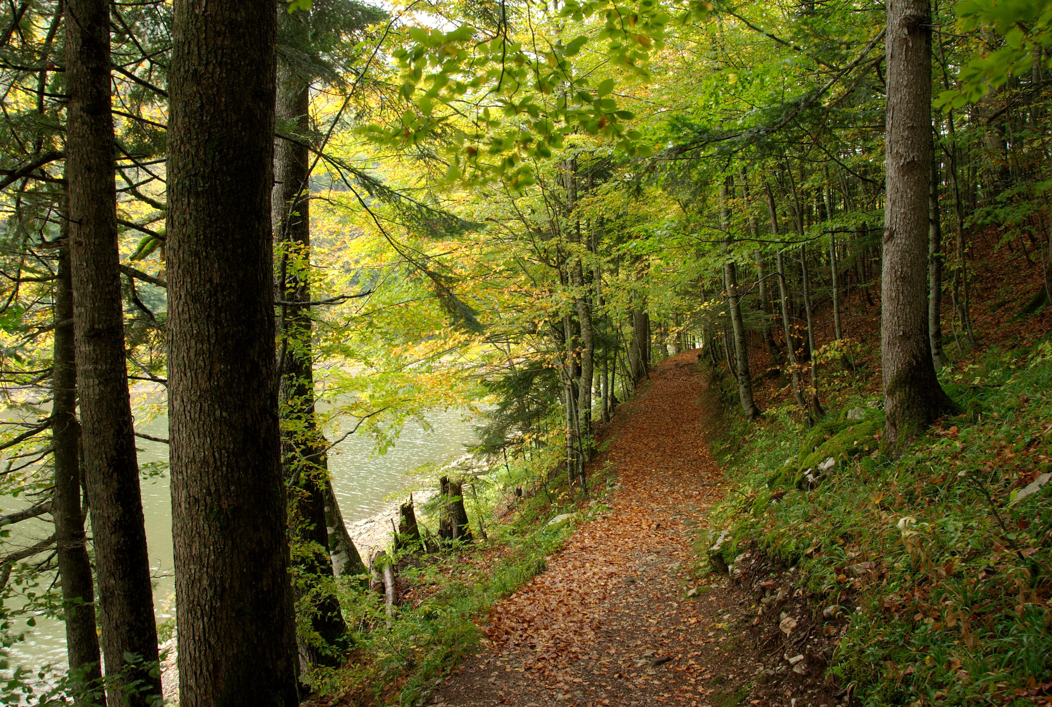 Privacy statement - GDPR