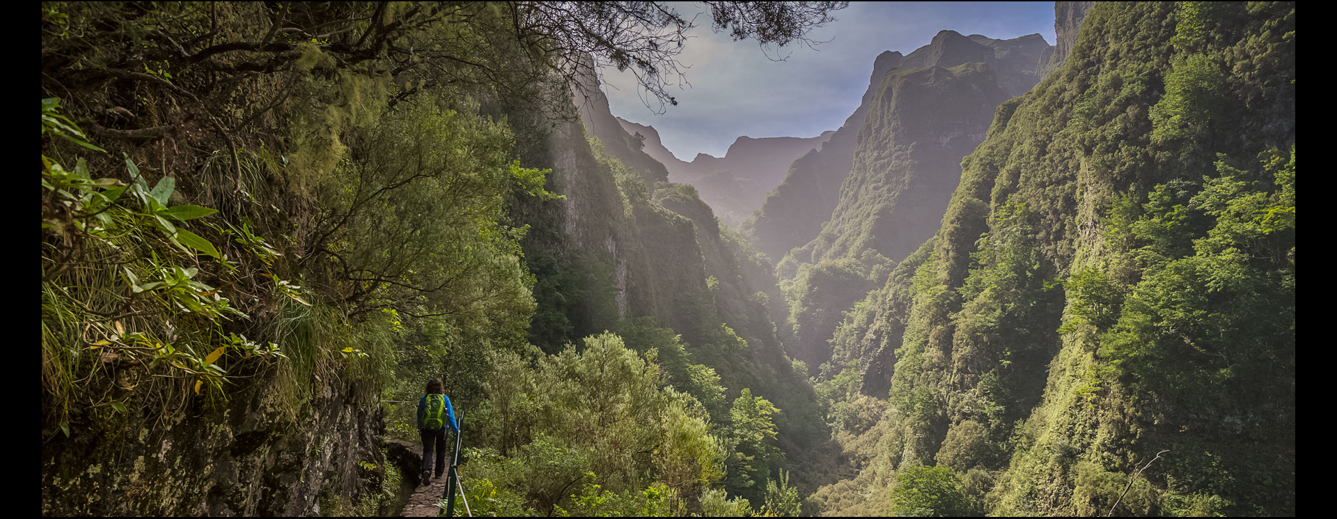Het Laurissilva-woud op Madeira