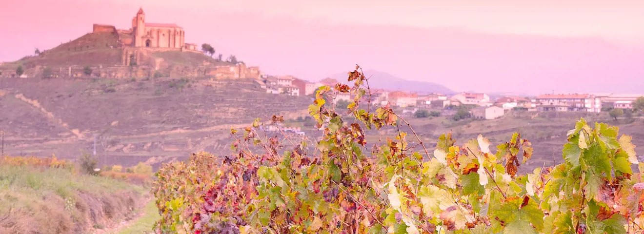 cover wine not la rioja