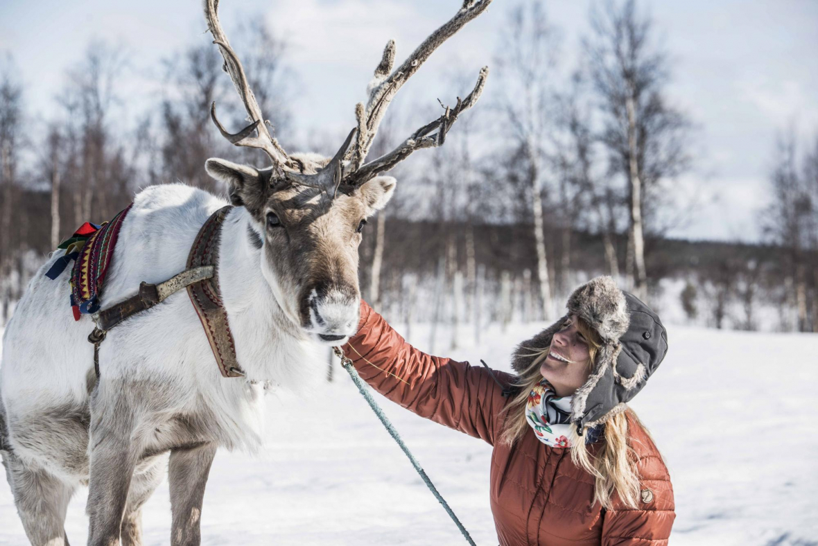 section 8 unieke ervaringen in lapland 1