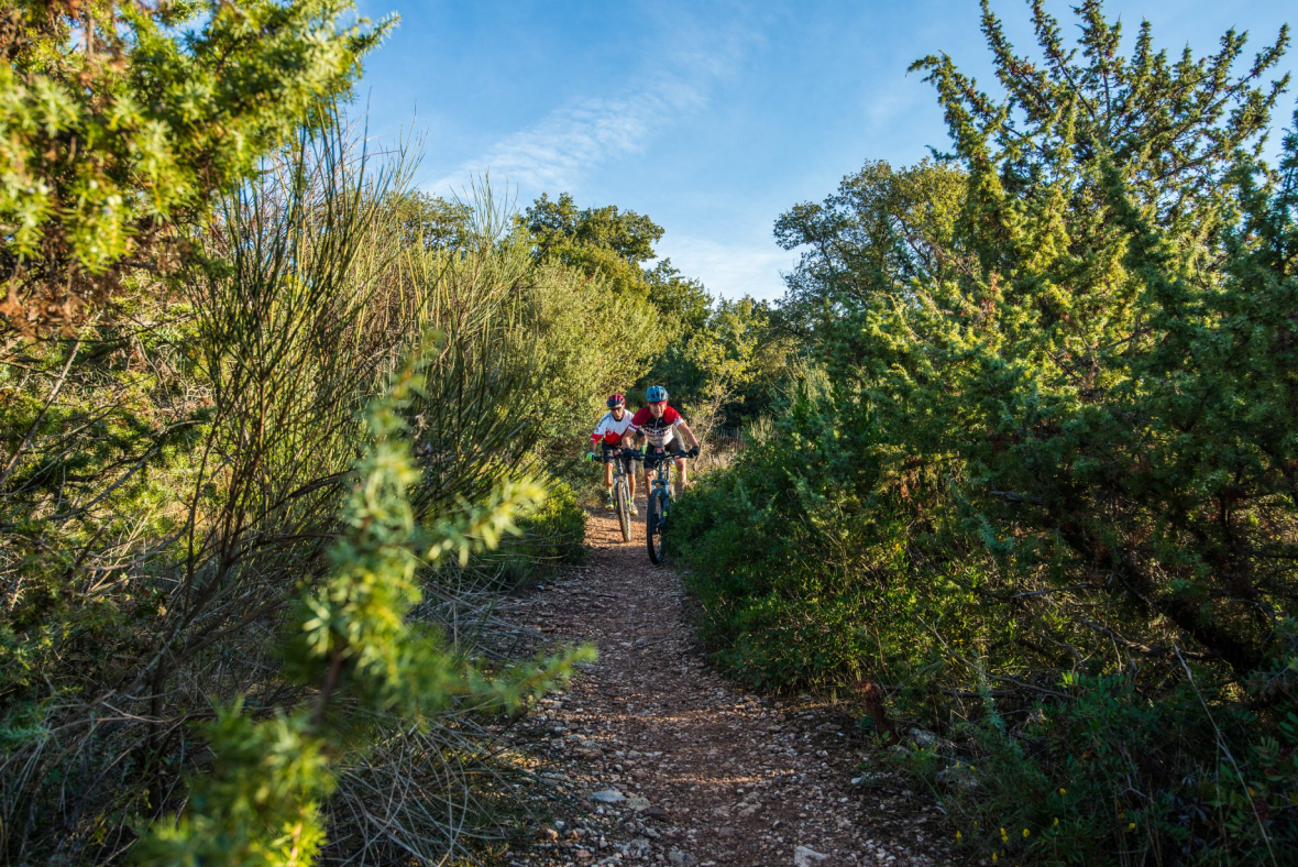section de natuur ontdekken per fiets dat is la bella vita 0
