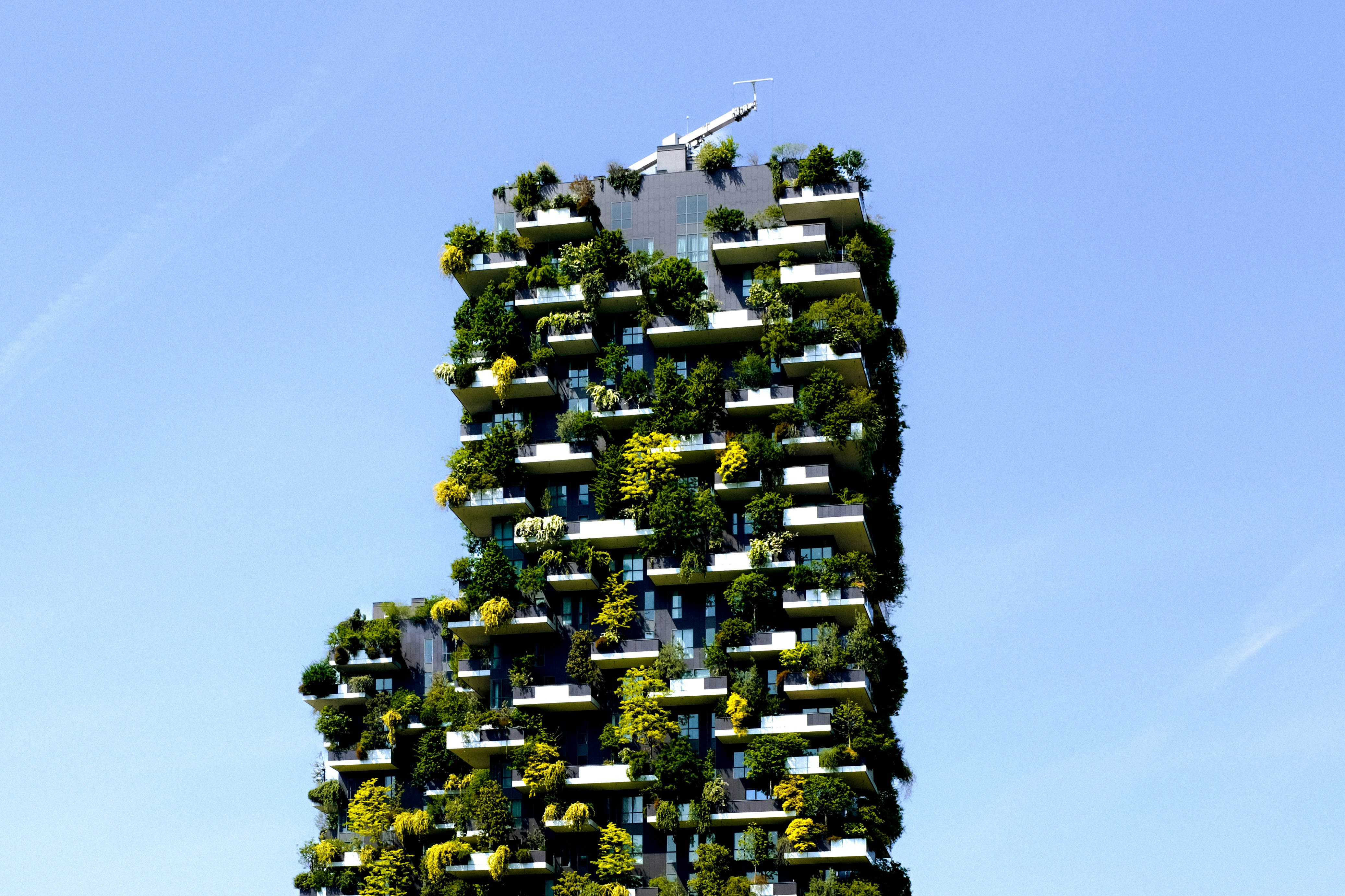 bosco verticale