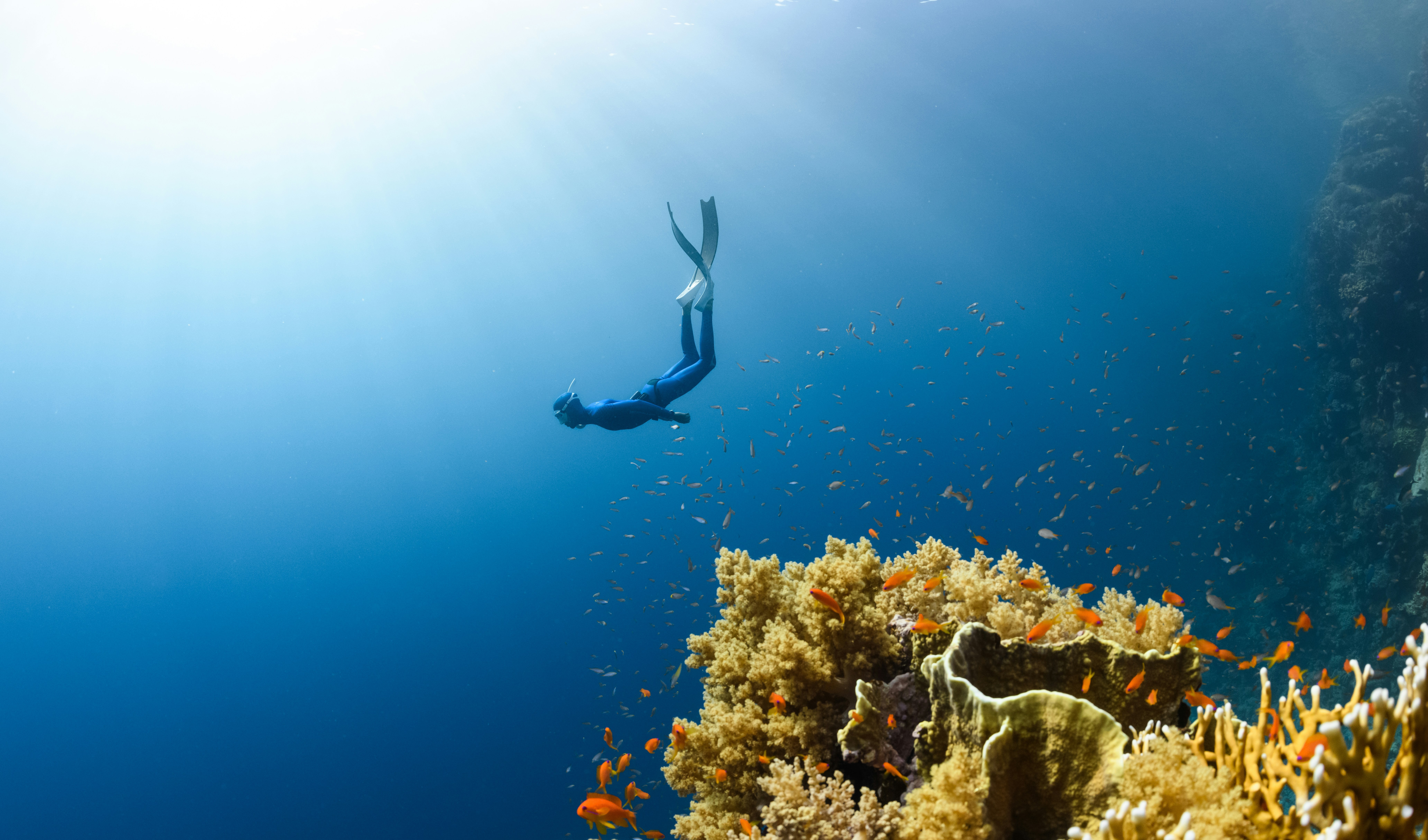 De 8 mooiste bestemmingen voor een duikreis