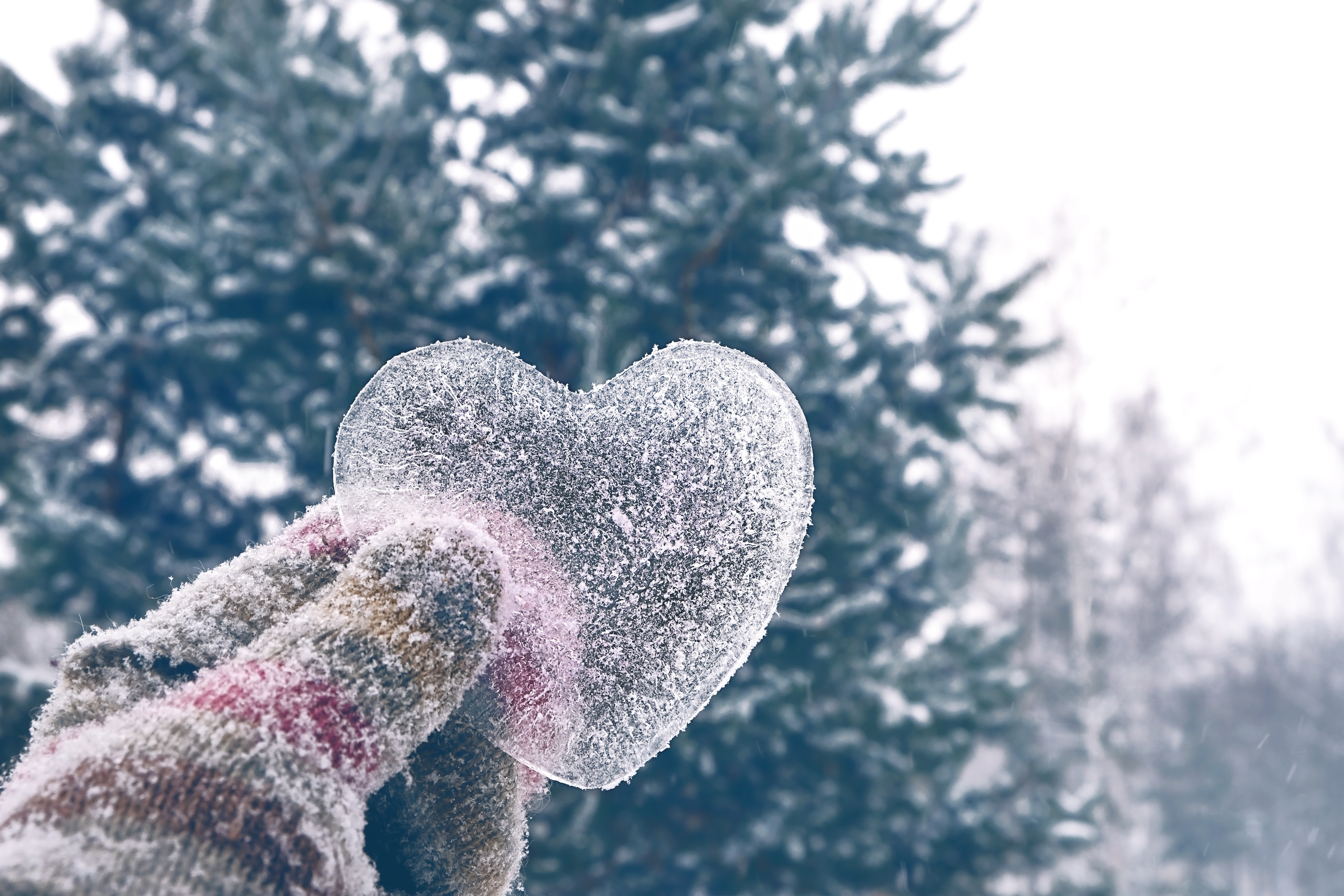 Spring break 2024 with Caractère