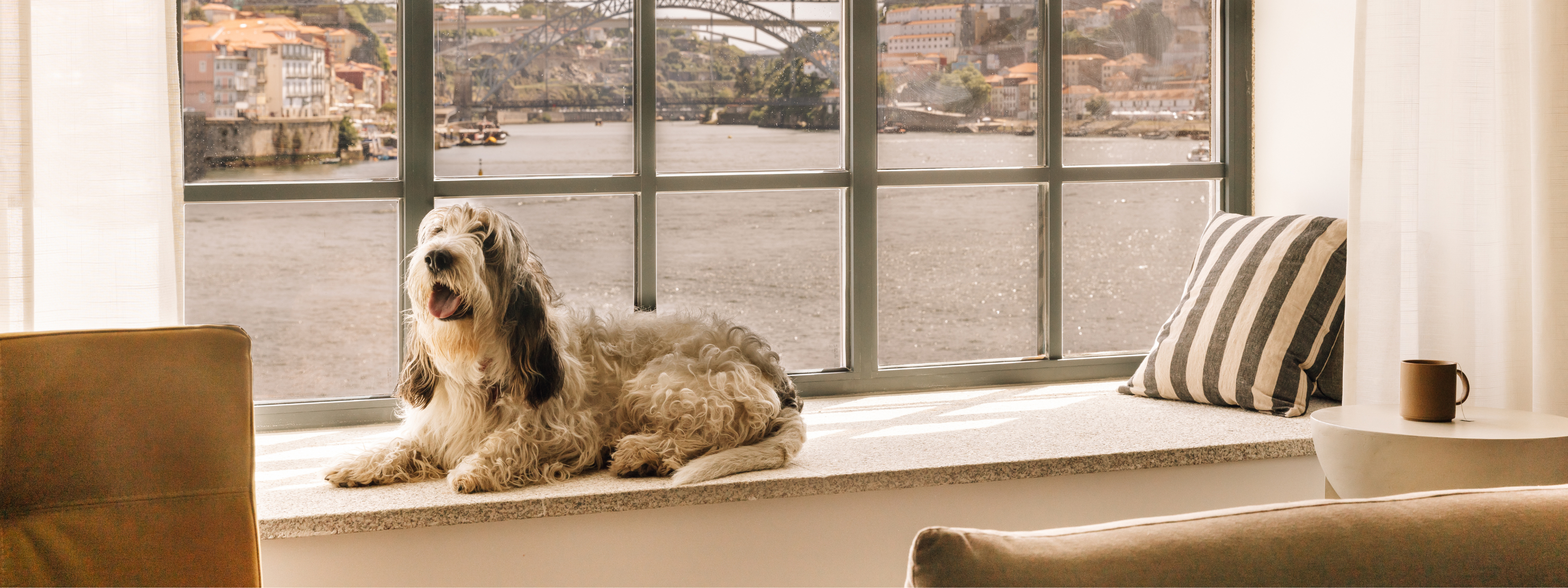 Travel with your companion: The best pet-friendly hotels