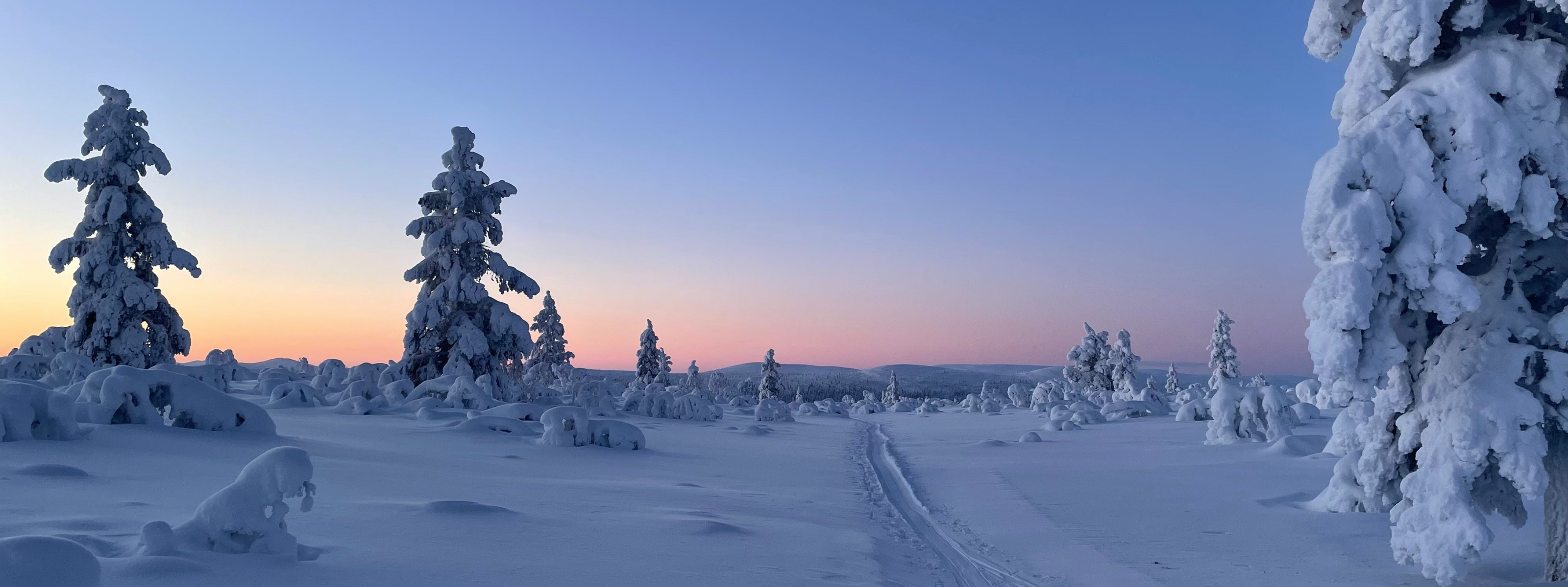 Incentive trip to Lapland