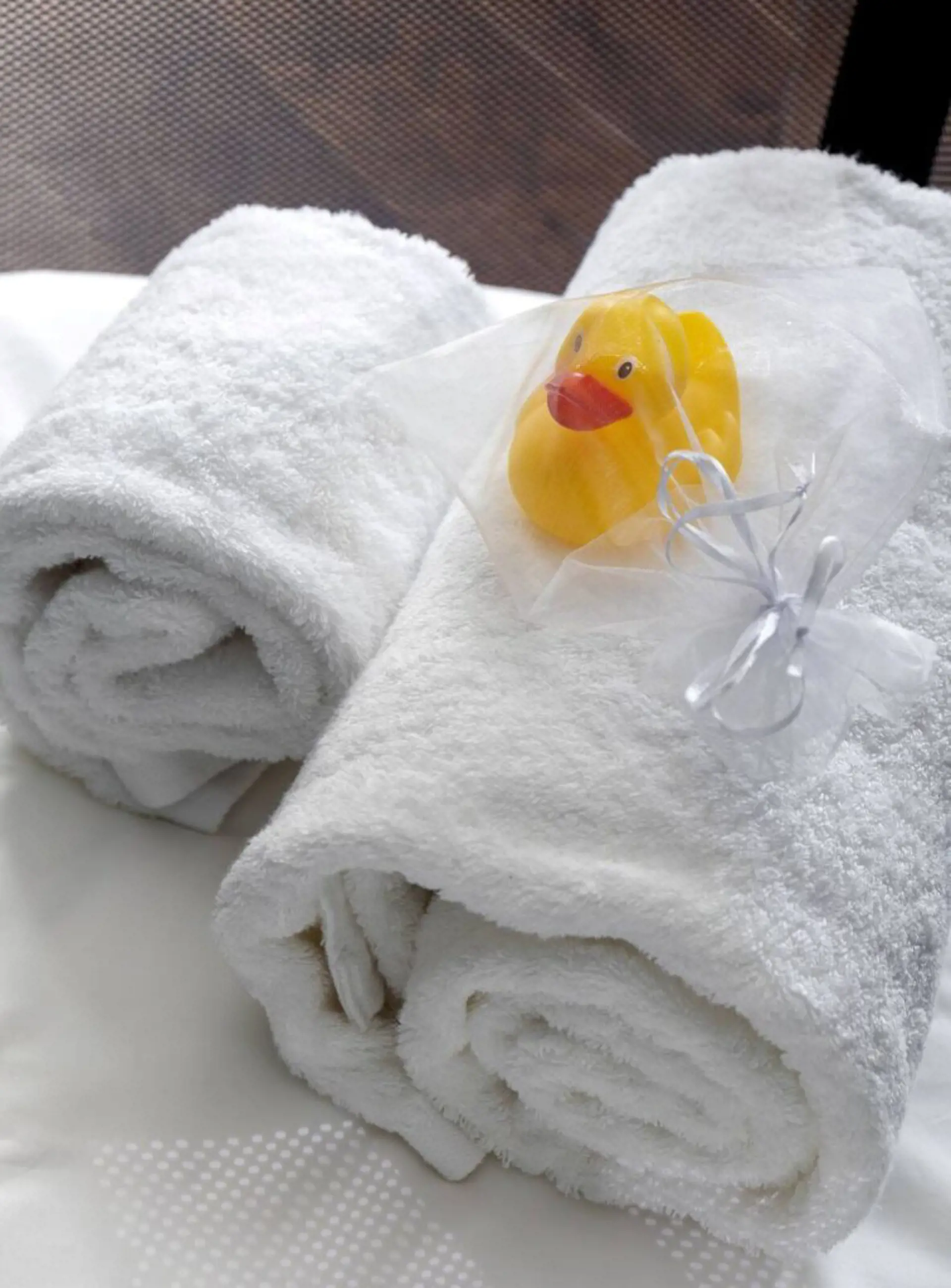 8983604c a5ca 40d2 8451 07a54e494e40