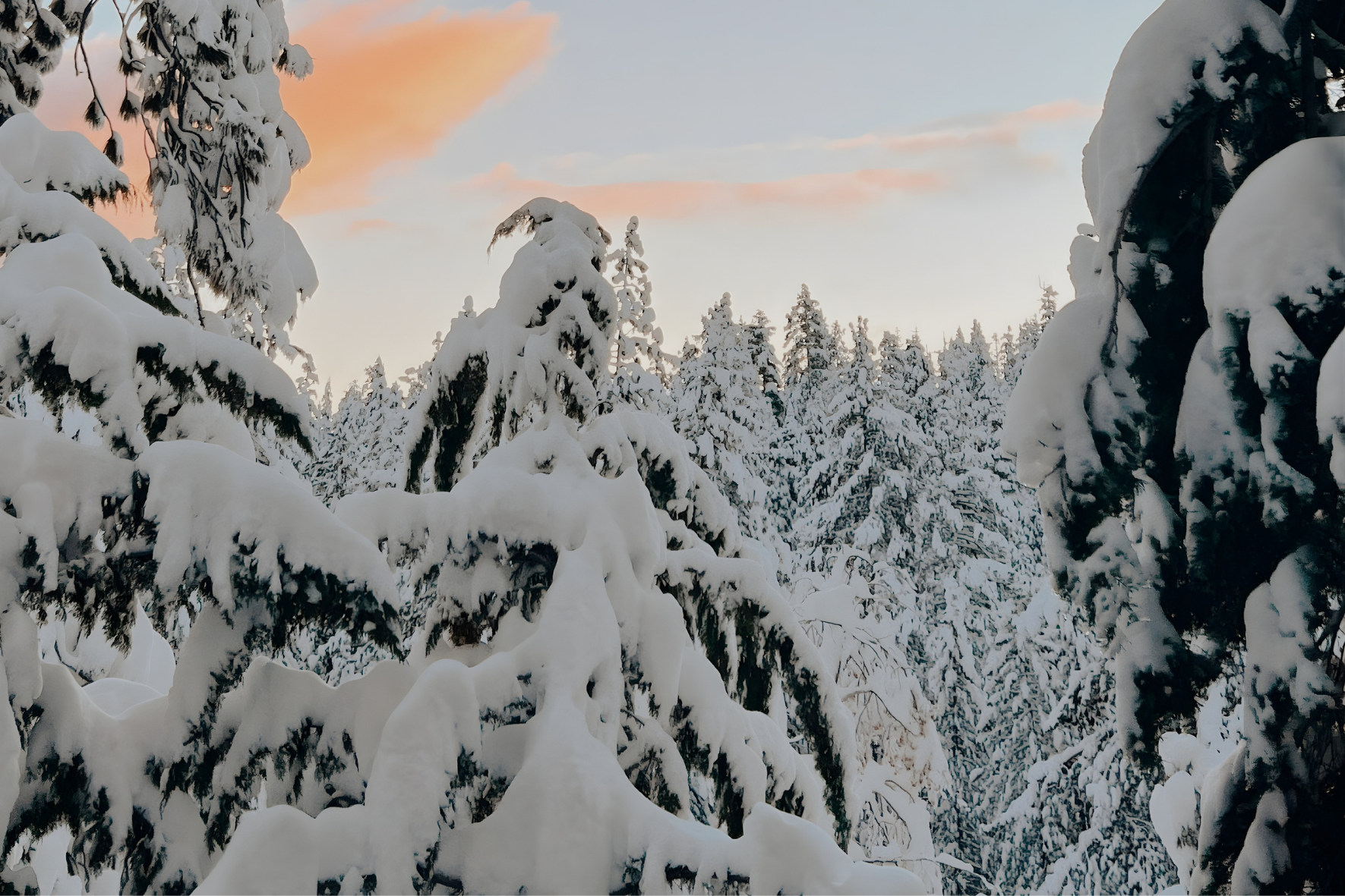 ontwerp zonder titel 12