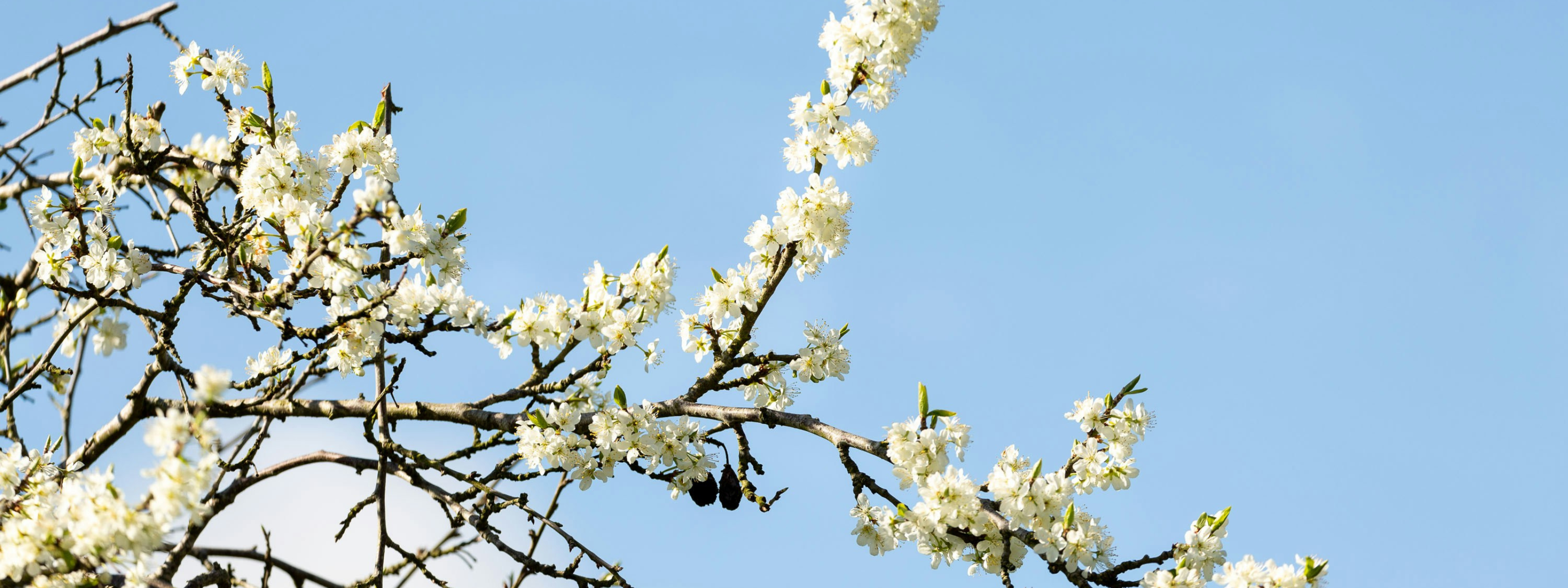 Easter Holidays 2026 with Caractère