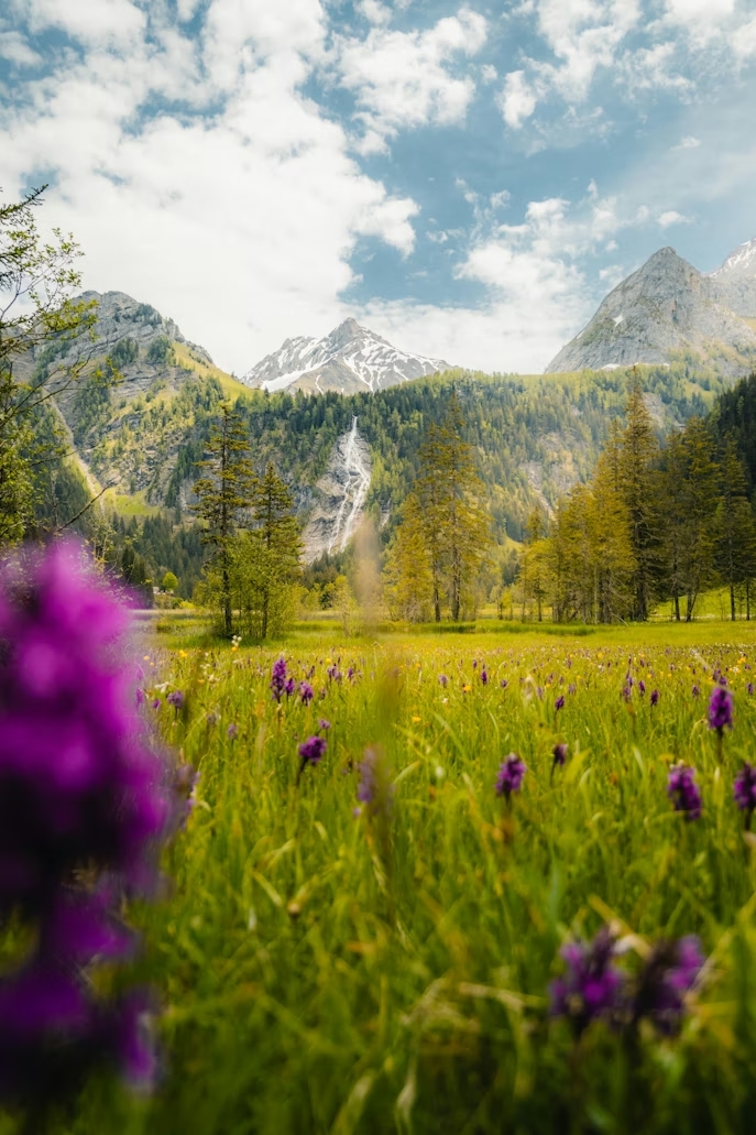 krokusvakantie unsplash