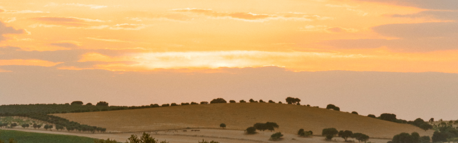 How do I book my trip with Caractère?