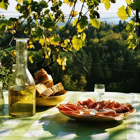 picknick wijngaard