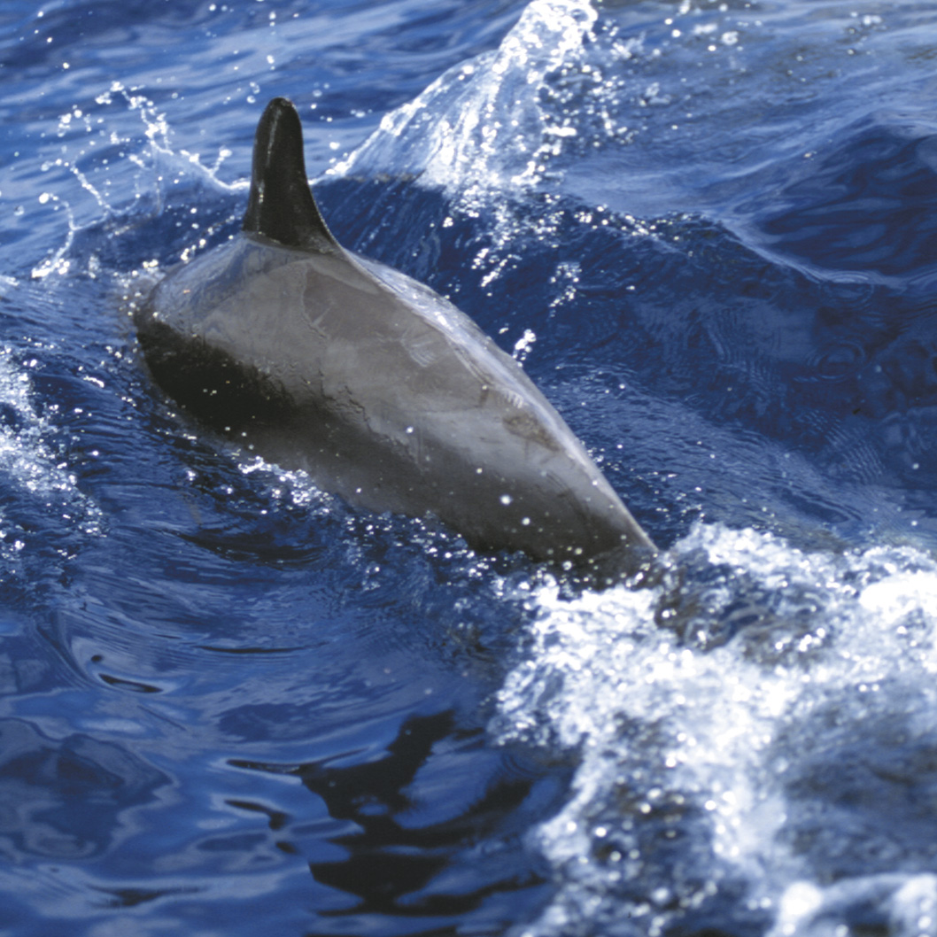 17 bucketlist activiteiten in Europa die je gedaan moet hebben "before you die"