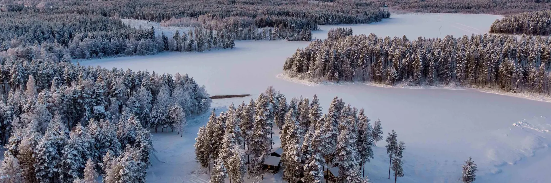 Incentive trip to Lapland