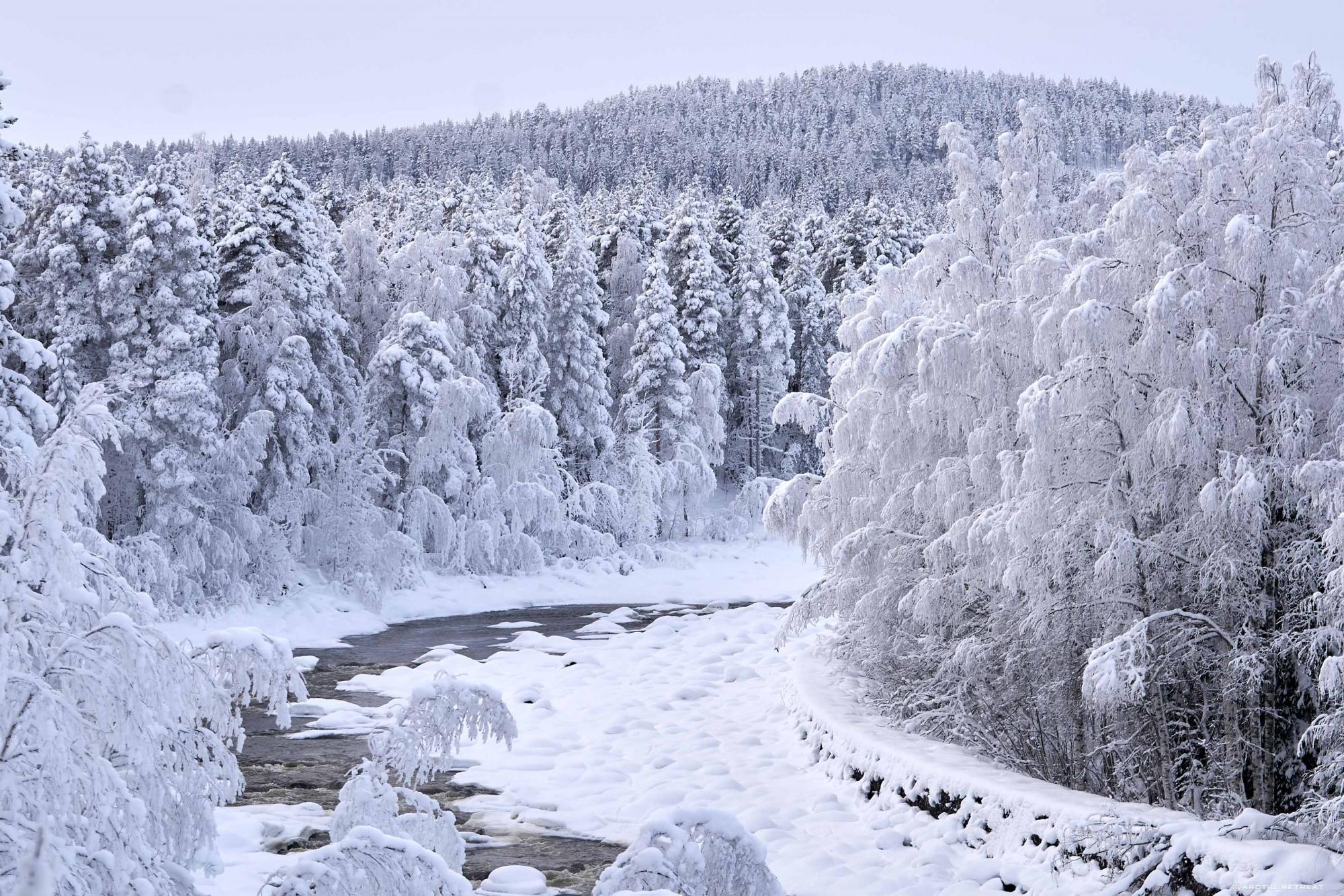 sfeerbeeld lapland 2