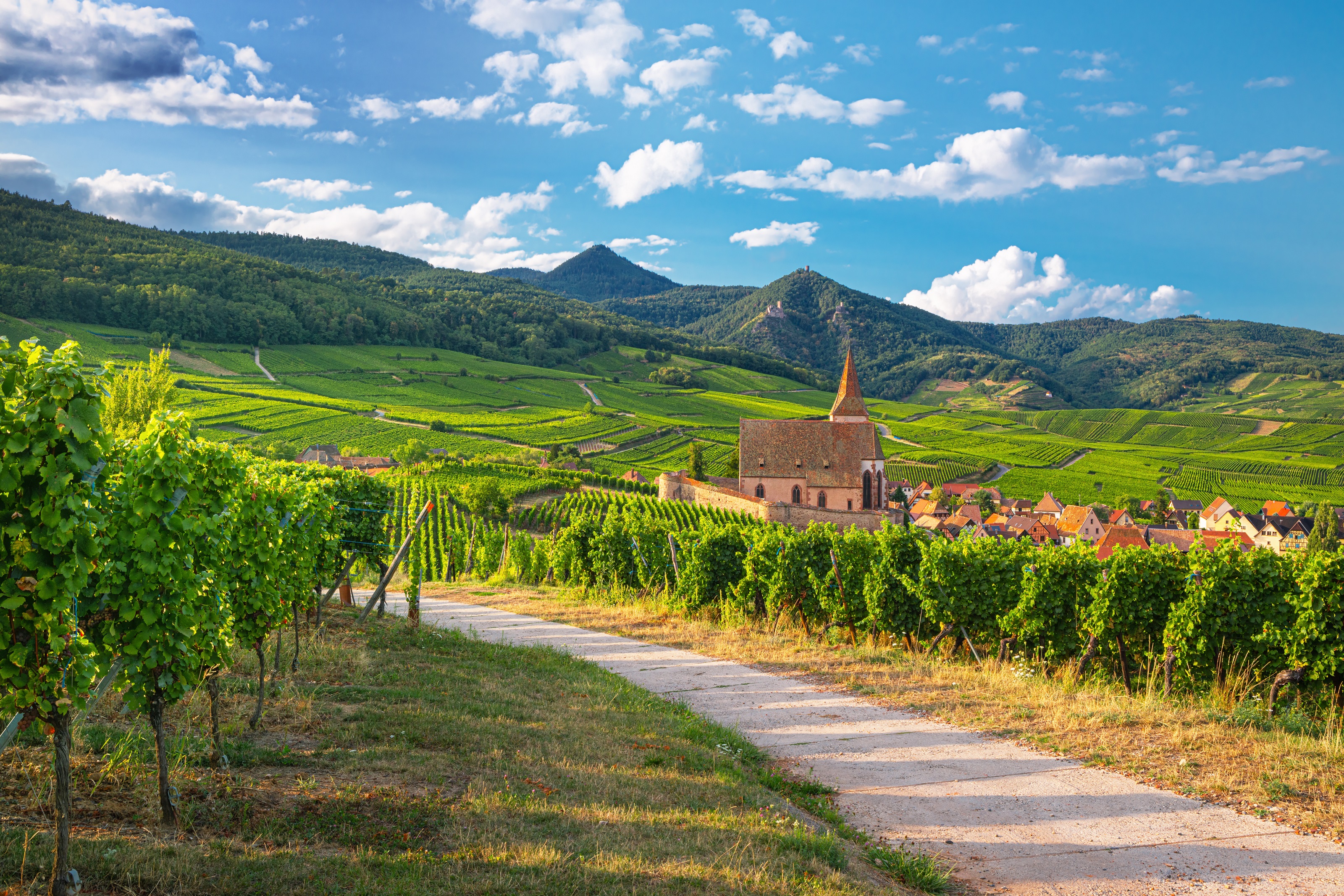 Alsace, the ideal destination for an off-season break