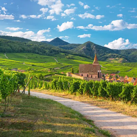 Alsace, the ideal destination for an off-season break