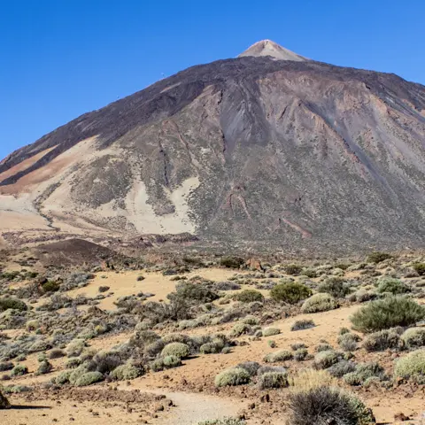 What are the Canary Islands?